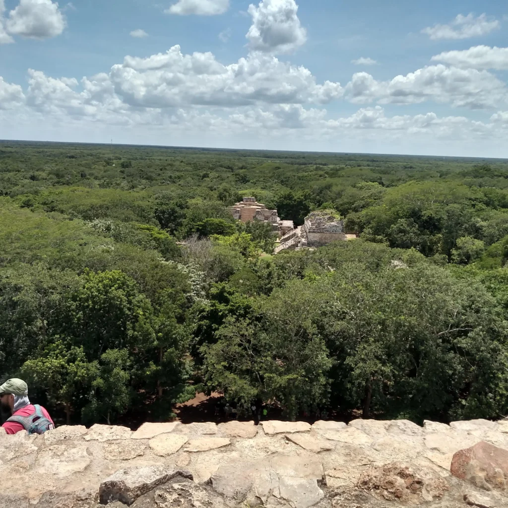 Vista de la selva maya desde la cima de la acrópolis